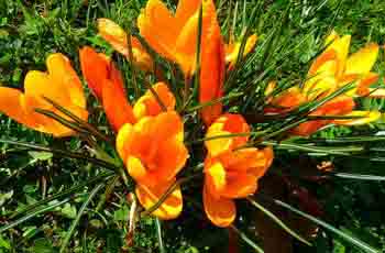 ddos网页在线攻击