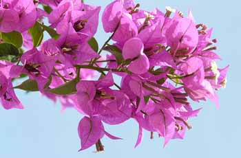 免费ddos在线攻击