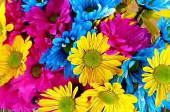 CC在线压力测试