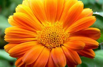 ddos网页在线攻击